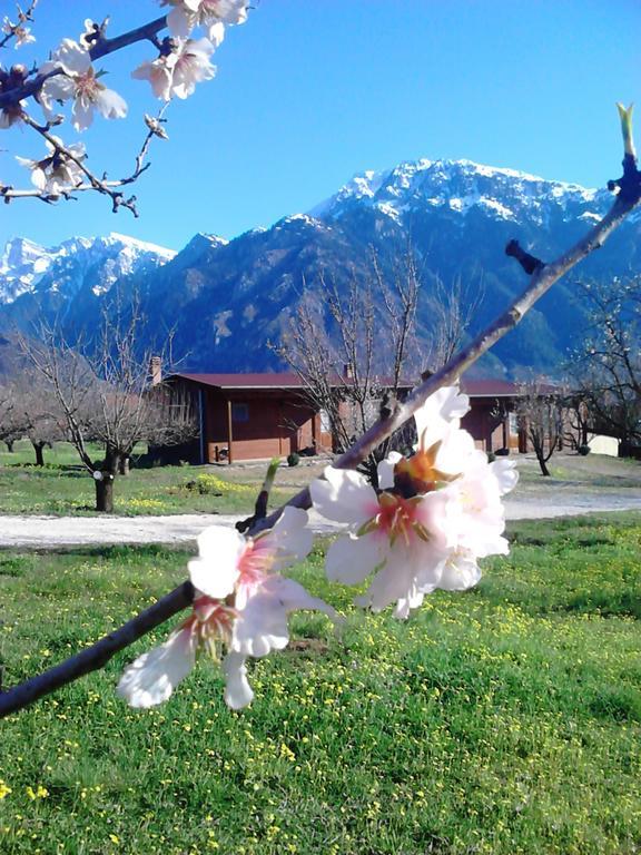 Villa Rustica Konitsa Cameră foto